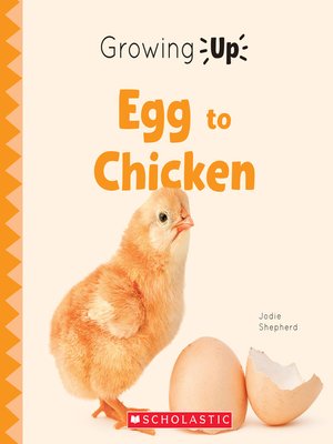 cover image of Egg to Chicken
